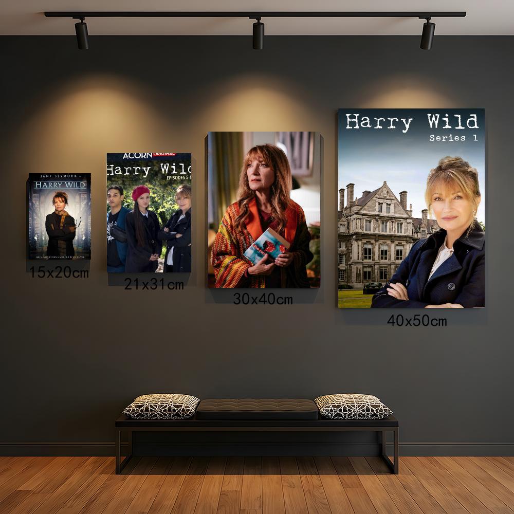 ТВ-сериал H-Harry Wild-D: Карт – обзор и цена Interior Design Tv Room