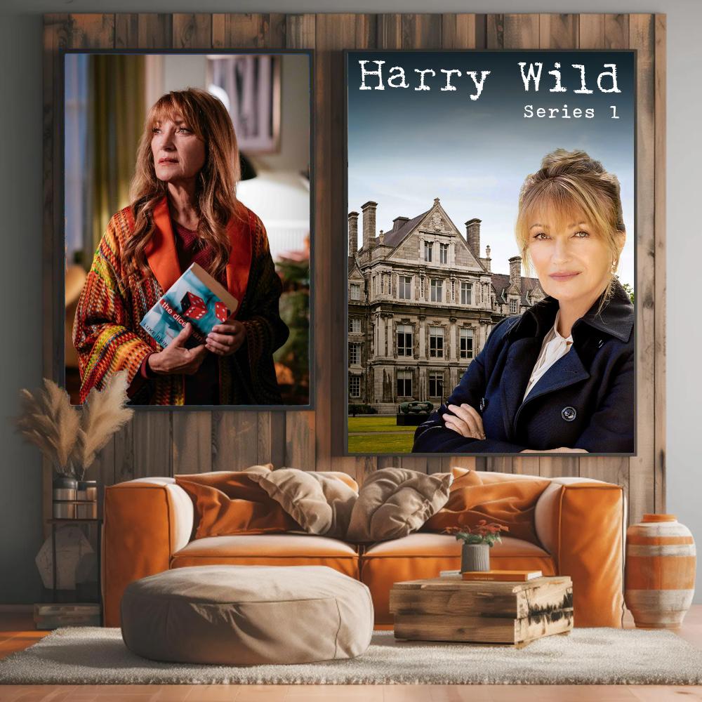ТВ-сериал H-Harry Wild-D: Карт – обзор и цена Interior Design Tv Room