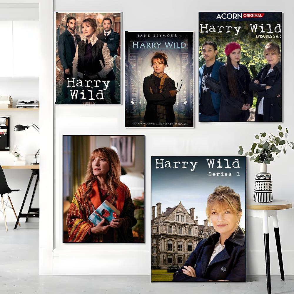 ТВ-сериал H-Harry Wild-D: Карт – обзор и цена Interior Design Tv Room
